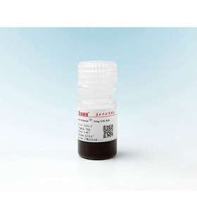 Beaver海狸Strep-tag II蛋白纯化磁珠70808-5高效、纯化