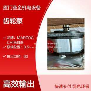 KL1P-D-2-G-GAS-ST MARZOCCHI齿轮泵ALPP2-S-25 GHP2A-D-50-S1-H