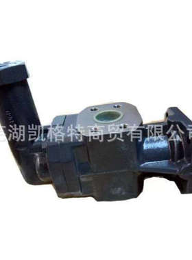 KF40RG11-D15发泡机输送泵齿轮泵 主机配套泵