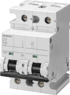 Siemens 5SP4280-8 西门子 SENTRON 5SP4 MCB 2P 80A Curve D 400