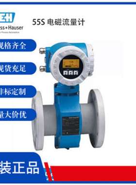 Proline Promag P 300 电磁流量计 耐高温流量计 搭配操作简便的