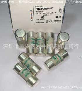 FR22AM69V8 N201308 保险丝 工作电流 8A、aM、690Vac、22x58mm