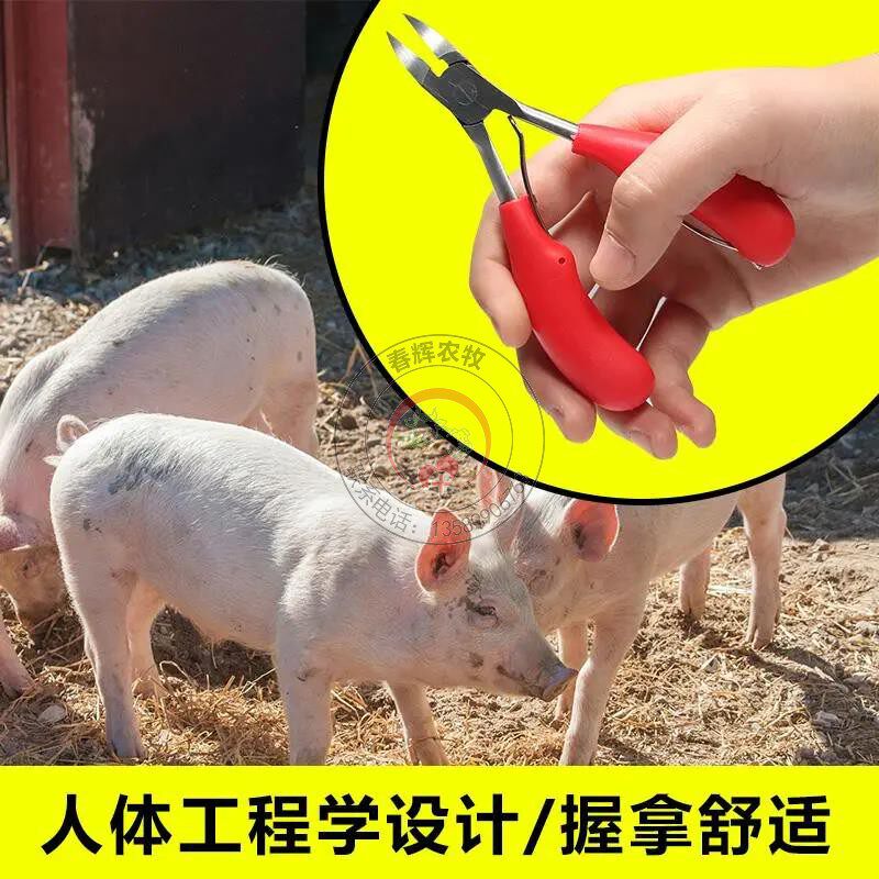小猪剪牙钳牙齿猪用给兔子不锈钢剪牙器钳子兽用仔猪牙剪断齿钳