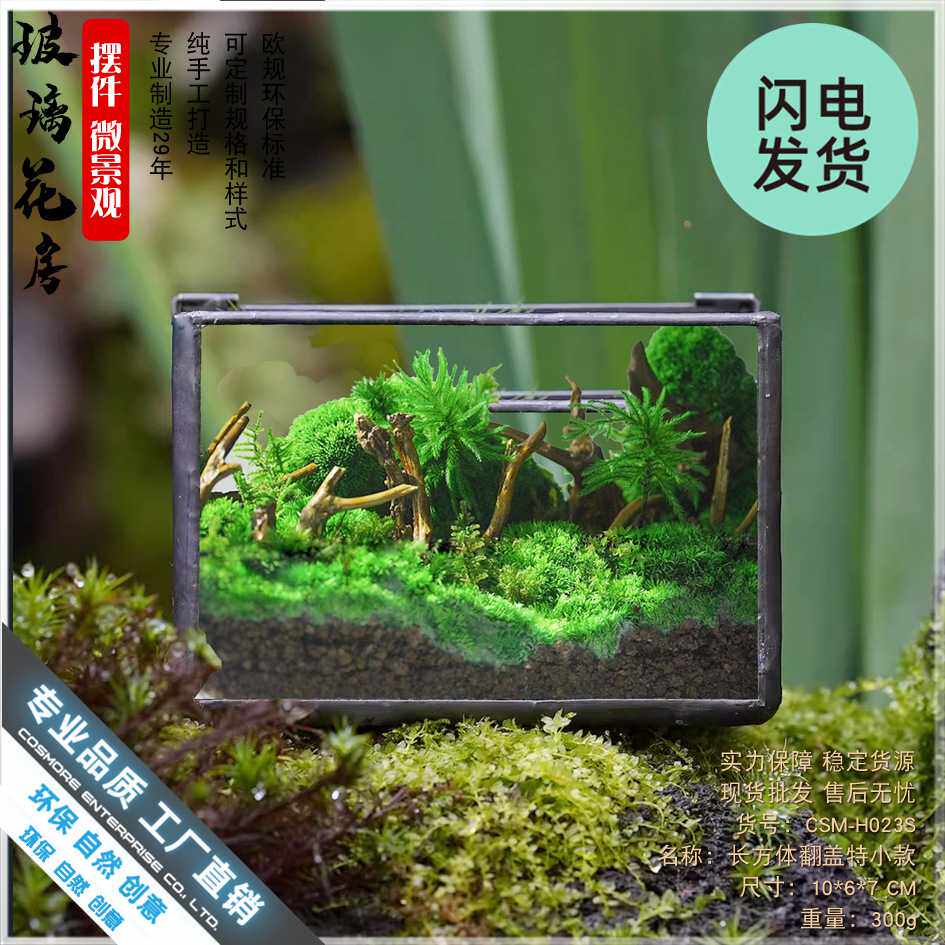植觉苔藓植物微景观玻璃盒子微缩造景生态瓶桌面盆栽家居摆件花盆