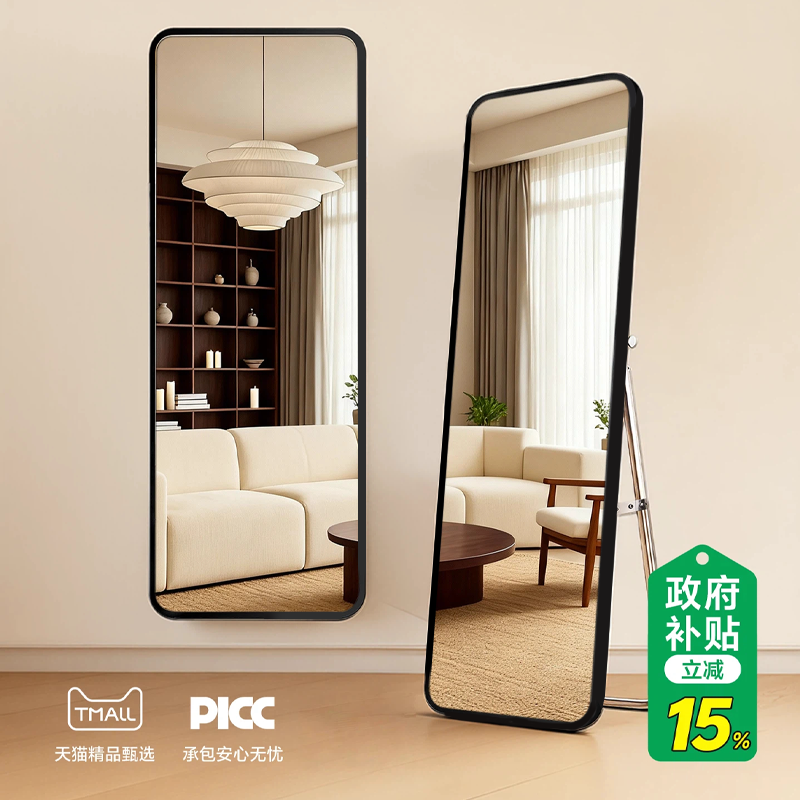 德国进口工艺全身镜落地镜家用