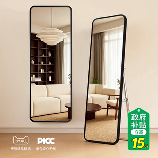 全身镜落地镜家用壁挂贴墙网红女生卧室穿衣镜宿舍挂墙立体试衣镜