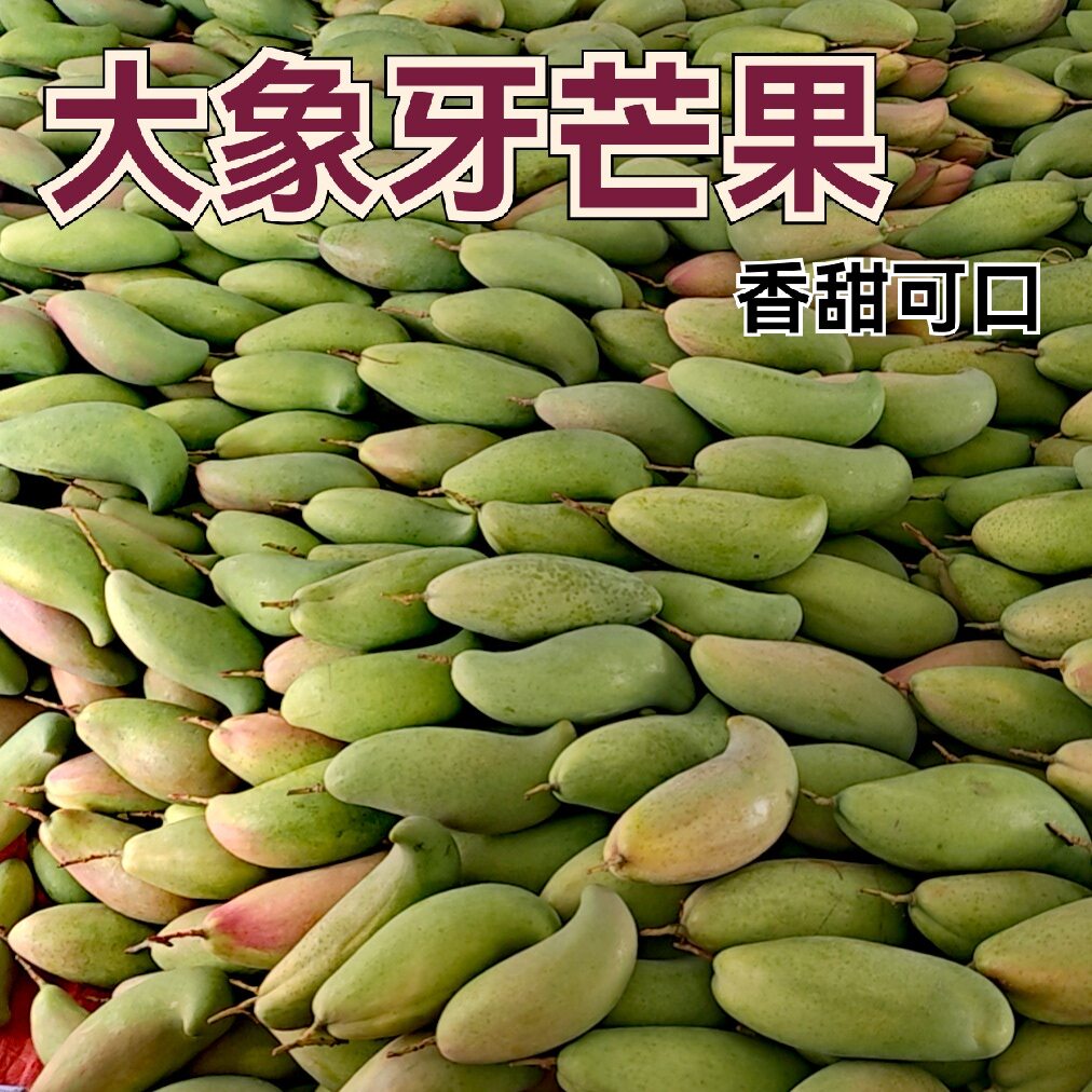 新鲜大芒果象牙9斤整箱当季热带芒果