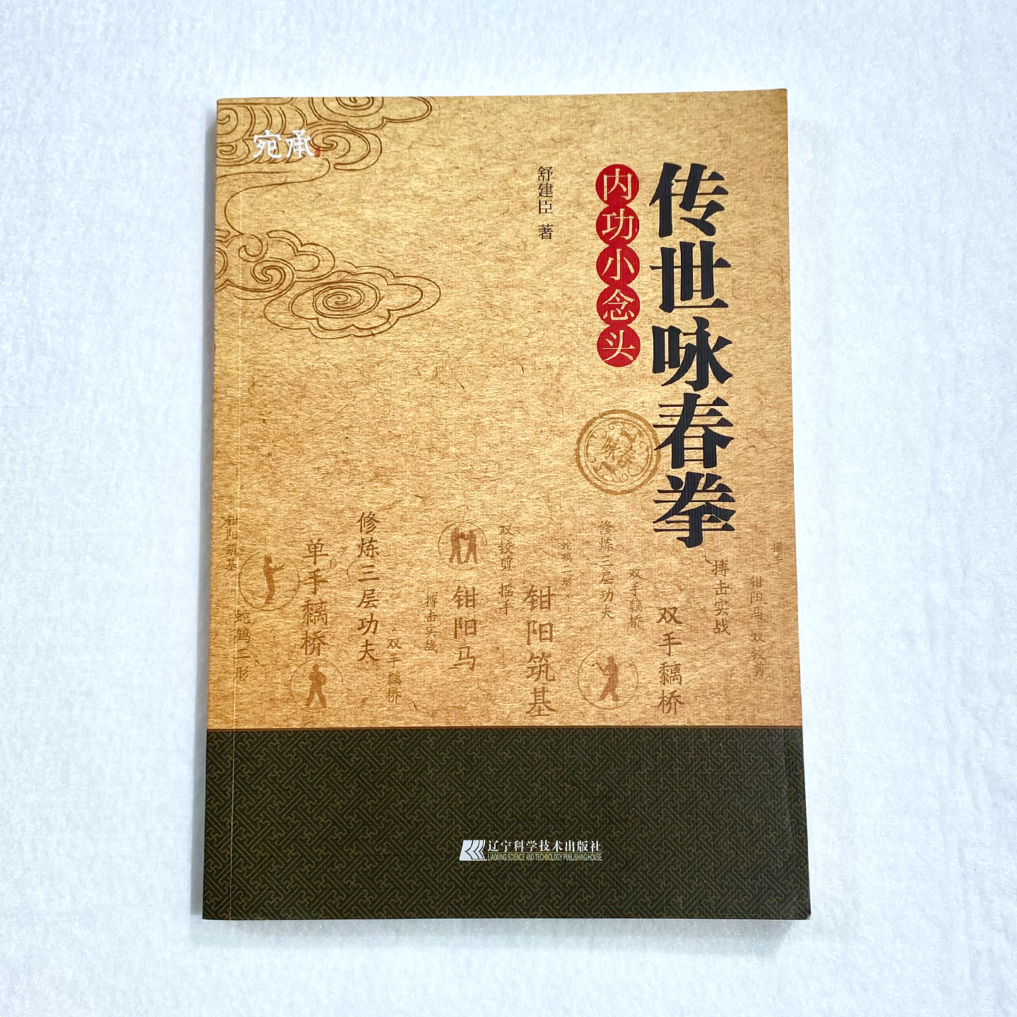 【宛承】宛承传世咏春拳内功小念头