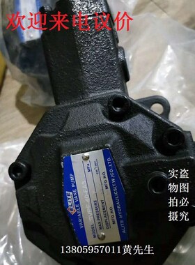 爱力特六角油泵rSVPF-40-FA3