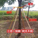 树木圆木支撑支撑架固定苗木固定器大树支撑杆树苗防风绿化松木