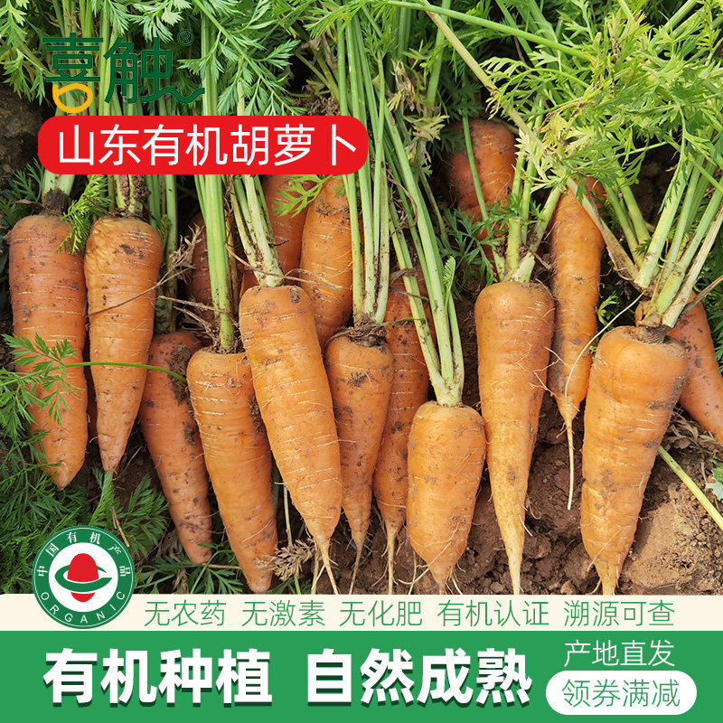 山东有机胡萝卜5斤装现挖孕妇儿童新鲜蔬菜无农残产地直发可生吃,水产肉类/新鲜蔬果/熟食,萝卜/胡萝卜,淘宝优惠券,粉丝福利购,淘宝优惠卷