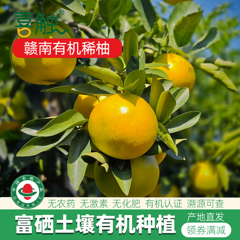 赣南有机稀柚无农残富硒孕妇柚