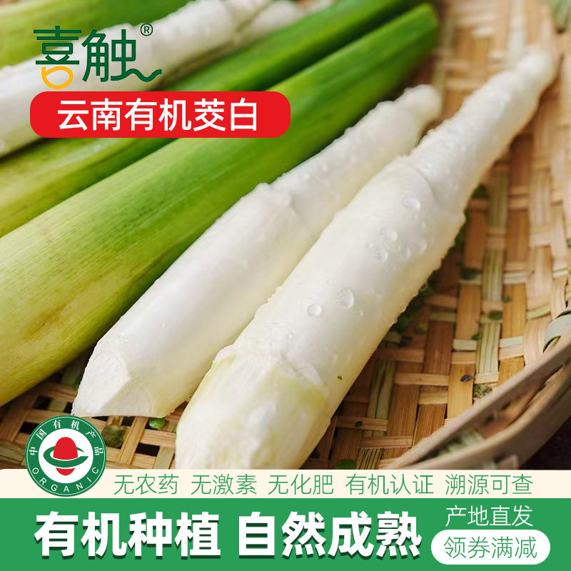 云南有机茭白根新鲜蔬菜无农药无化肥现摘现发孕妇高山带壳茭白笋