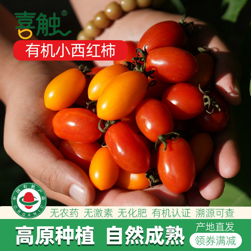 云南高山有机樱桃小番茄圣女果无农药现摘现发新鲜水果小西红柿,水产肉类/新鲜蔬果/熟食,番茄,淘宝优惠券,粉丝福利购,淘宝优惠卷