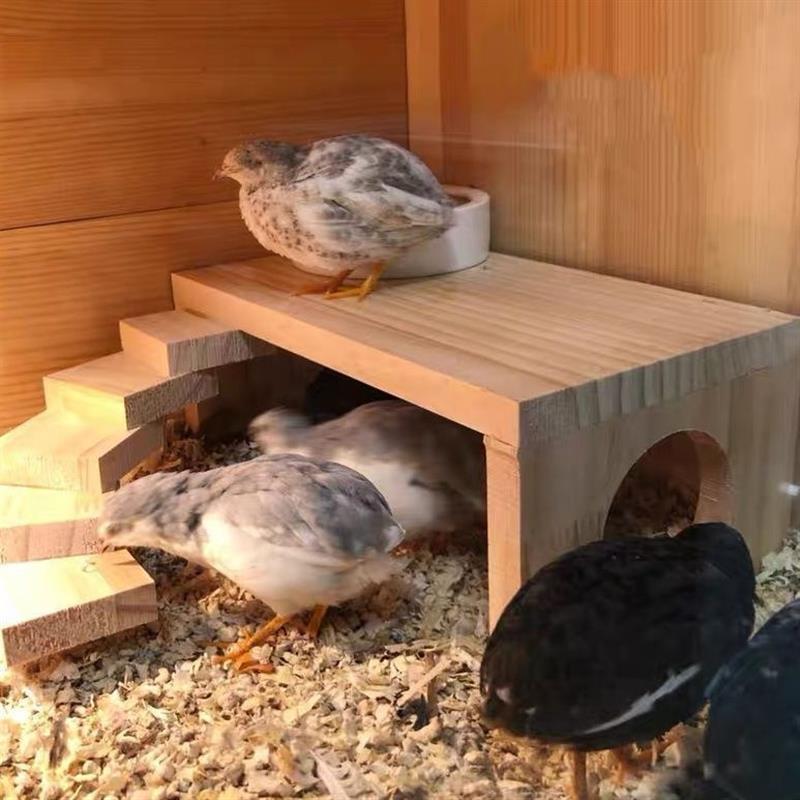 芦丁鸡喂食平台配件装饰仓鼠用品全套二层平台架子宠物箱别墅造景
