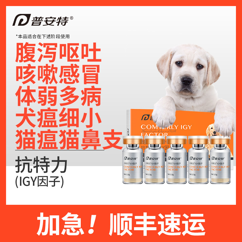 普安特IGY抗特力适用于犬瘟细小猫瘟鼻支疱疹病毒阶段免疫球蛋白