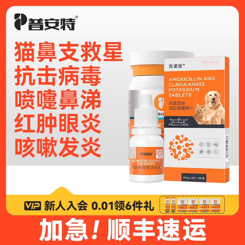 普安特猫鼻支克星治疗药