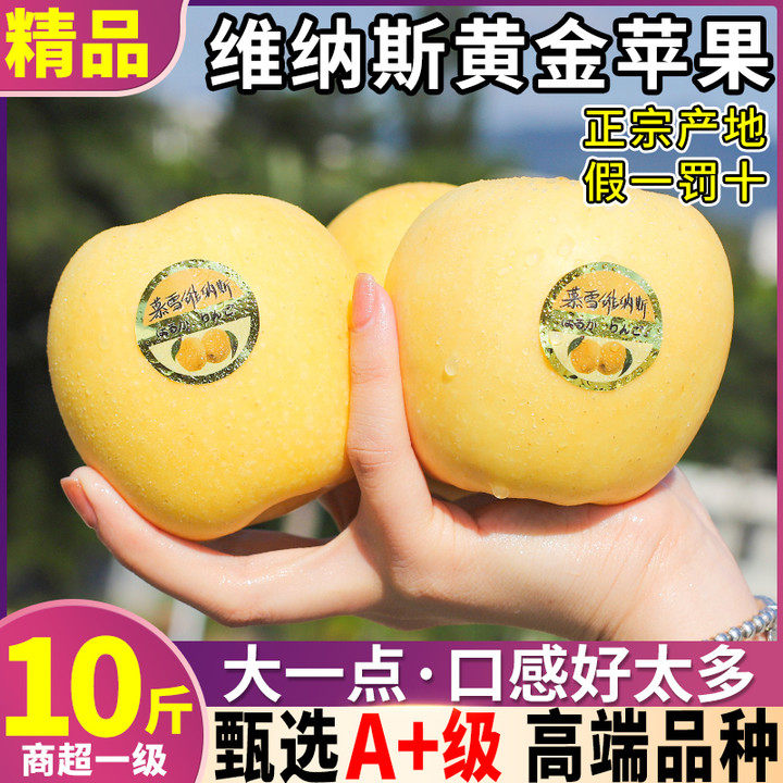 正宗10斤维纳斯黄金苹果新鲜水果当季胖子山东时令丑苹果甜