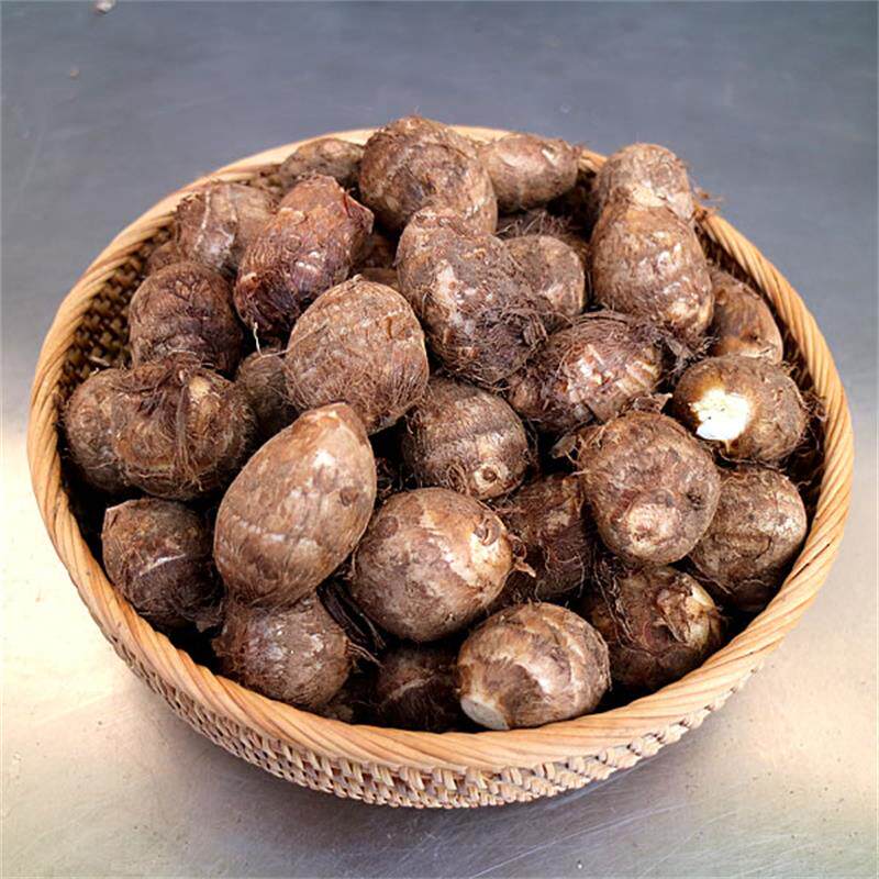 四川新鲜小毛芋头迷你小芋头粉糯香滑芋头小芋艿农家5斤装包邮