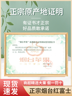 心丑10山东新鲜 萍果甜整箱冰糖红富士应当栖霞苹果平果水果烟台季