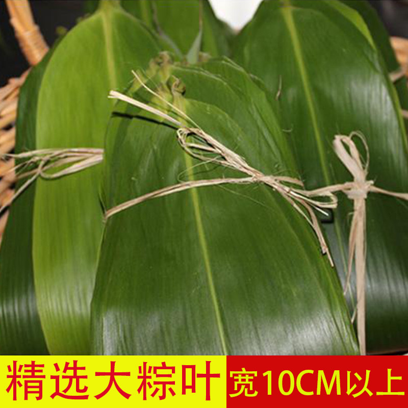 【大粽叶】新鲜现摘粽叶100片免邮纯天然箬叶廖叶粽子叶大叶