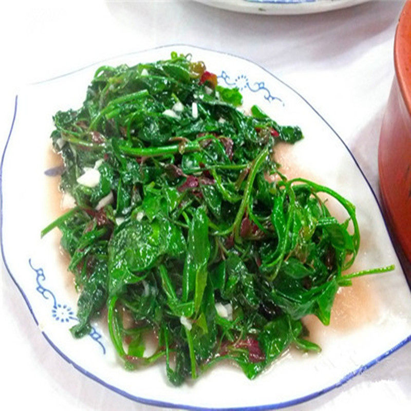 3斤东北特产长白山速冻刺五加五加皮嫩芽嫩叶新鲜山野菜包邮