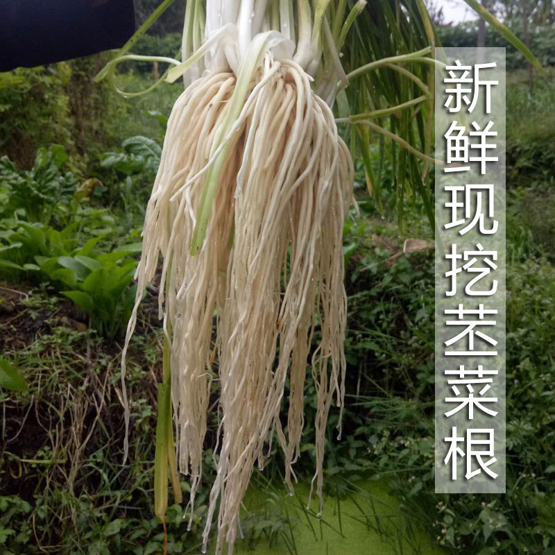 撇了菜是什么菜,这是什么,鱼是什么鱼_大山谷图库
