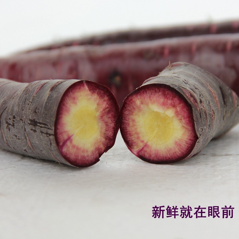 紫色胡萝卜4斤装紫色黑色胡萝花青素新鲜蔬菜紫萝卜山东特产潍坊