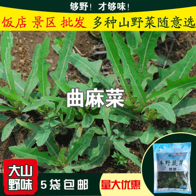 300gX5袋曲麻菜侵麻菜苦菜苣荬菜苦麻山野菜保鲜袋装凉拌蘸酱