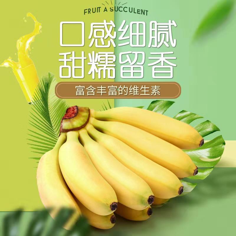 小米蕉带箱10斤贵州新鲜砍发自然熟酸甜应季水果