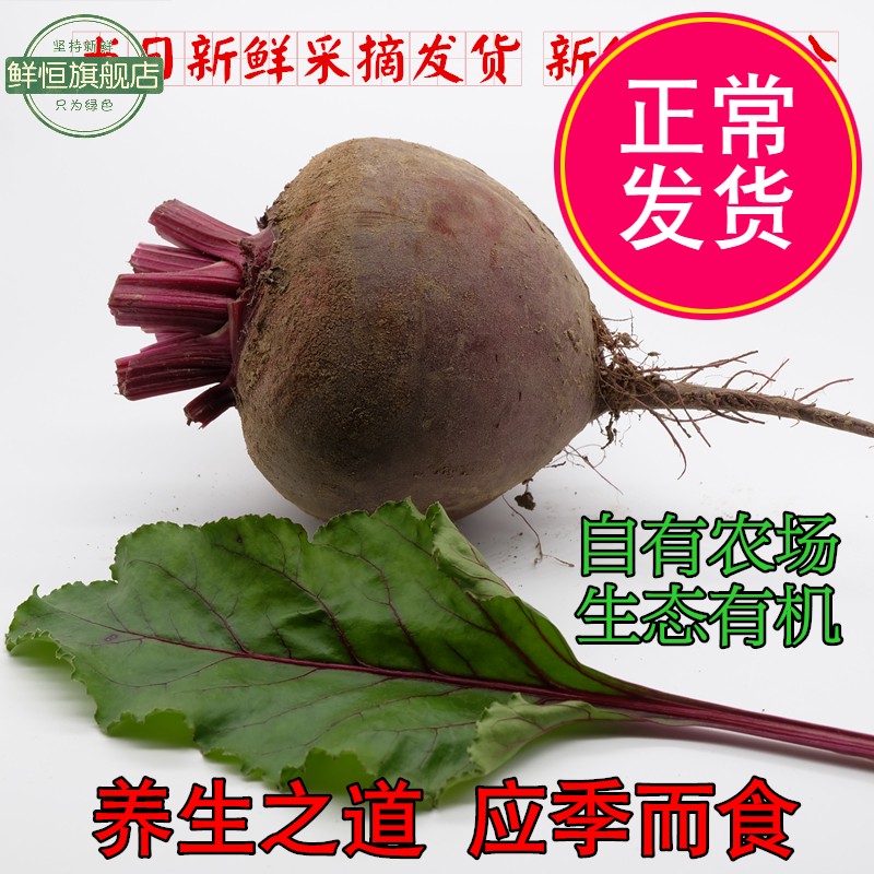 甜菜根新鲜现挖5斤甜菜头紫菜头红甜菜农产品蔬菜红菜头包邮