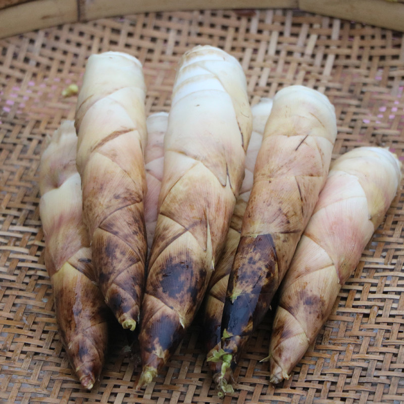 临安天目山小竹笋真空包装春笋油焖笋雷笋新鲜竹笋3斤装包邮