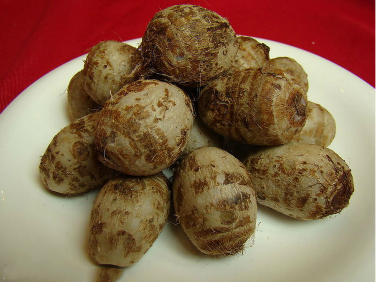 净重5斤山东农家现挖毛芋头新鲜粉糯小芋头芋艿芋仔香芋玉儿