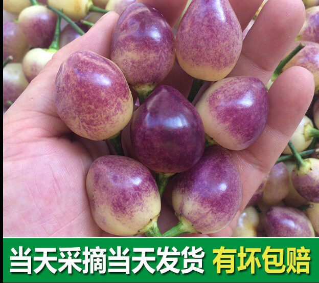 广西五彩椒新鲜现摘七彩椒小辣椒酱香泡椒五色椒灯笼椒圆椒5斤