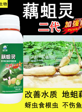 藕田百虫净藕蛆灵藕塘专用药