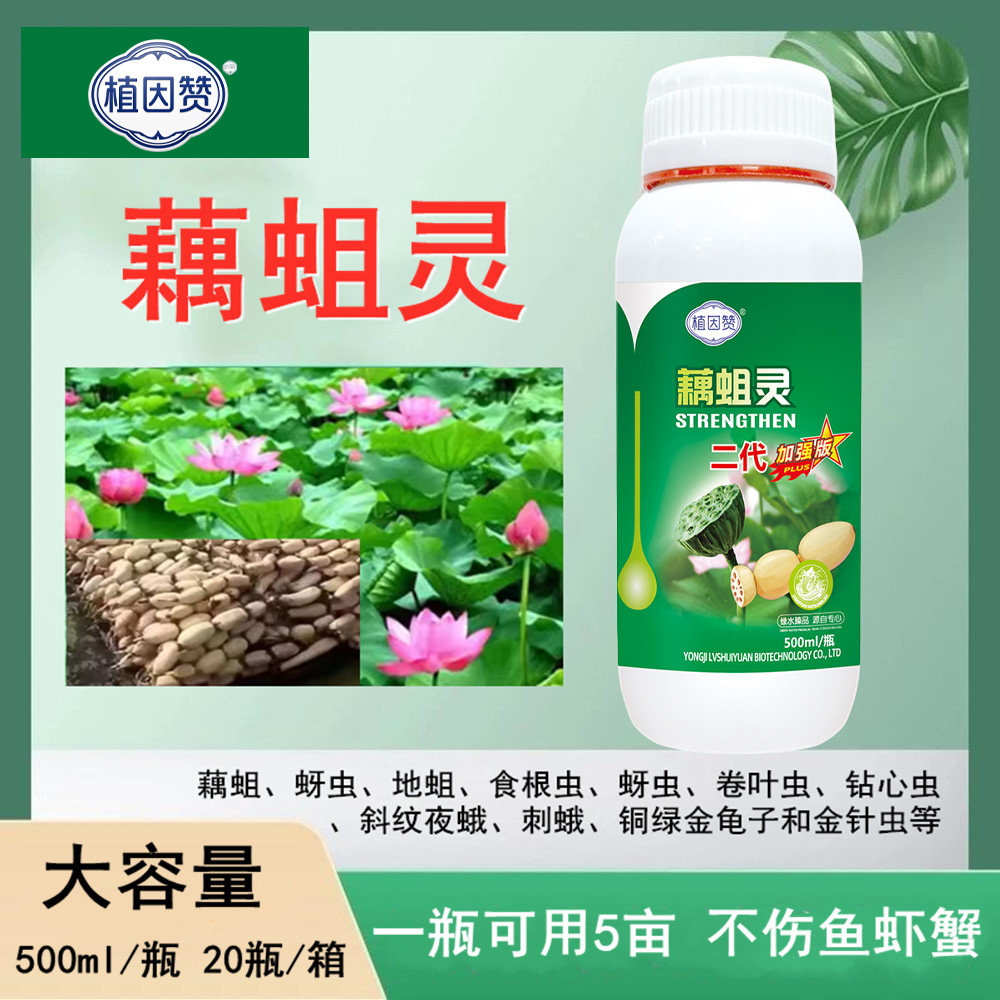 莲藕水蛆药藕蛆灵藕塘专用药
