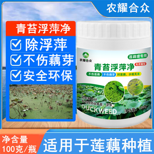 青苔浮萍灵藕田专用浮萍青苔净