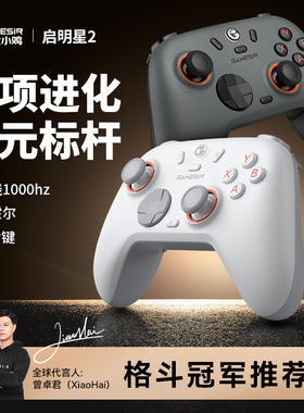 盖世小鸡启明星2无线游戏手柄pc电脑版steam街霸6格斗霍尔摇杆蓝牙宏编程switch2手机电视特斯拉ns双人xbox