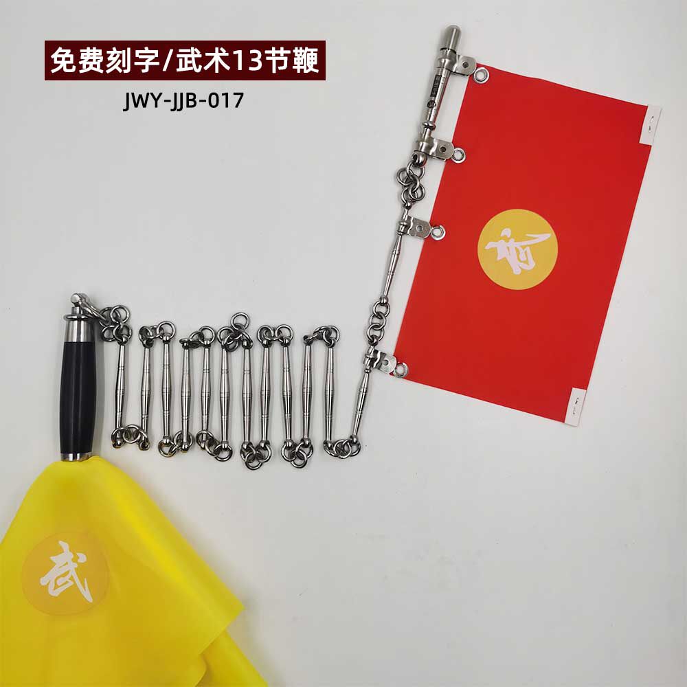 聚武园传统武术不锈钢13节鞭
