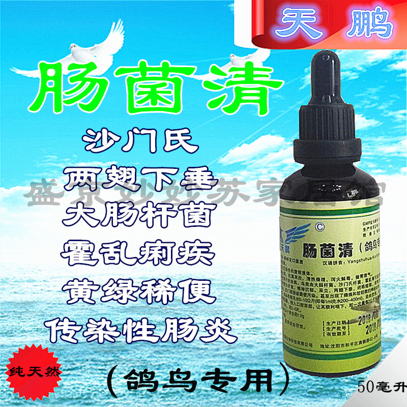 鸽子鸟药治疗拉稀药沙门氏菌鸽药病毒肠炎肠道药大肠杆菌水便绿便