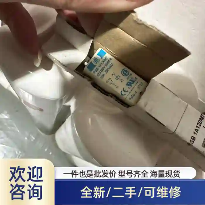 RSB1A120M7继电器，来自波兰，220V 50/6