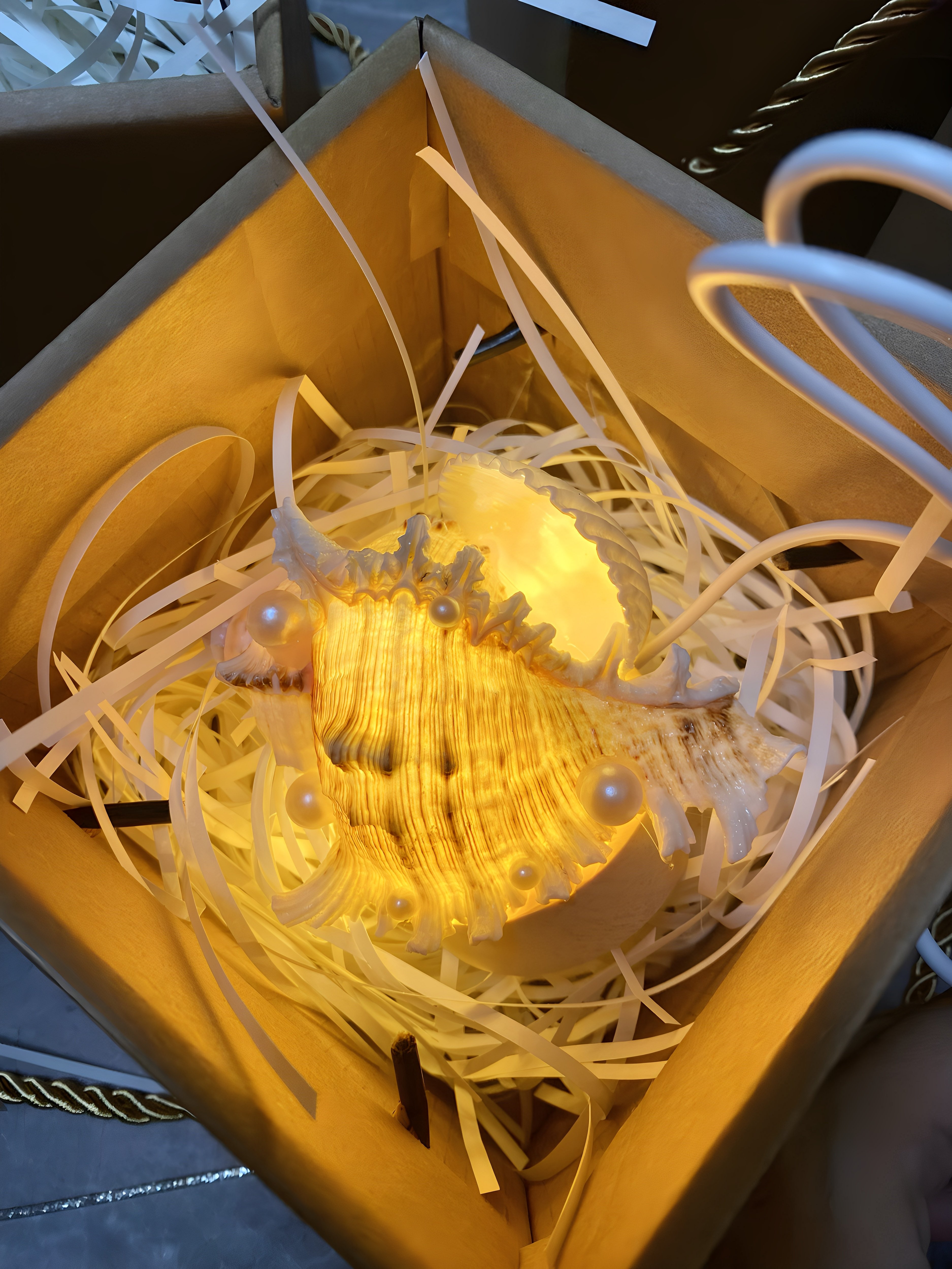 海南三亚威海天然贝壳海螺小夜灯原创手工创意摆件氛围灯送礼礼物