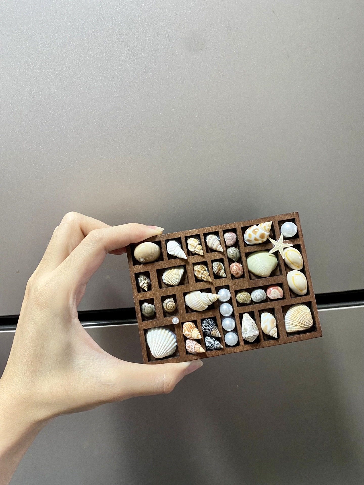 威海青岛复古贝壳相框原创海边礼物海螺标本收藏收纳盒冰箱贴礼物