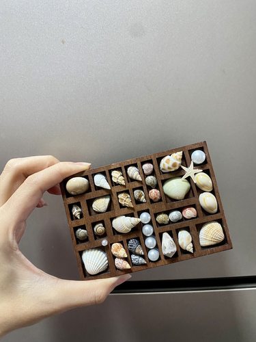 海南三亚复古大版贝壳相框冰箱贴海边礼物海螺标本收藏收纳盒礼物