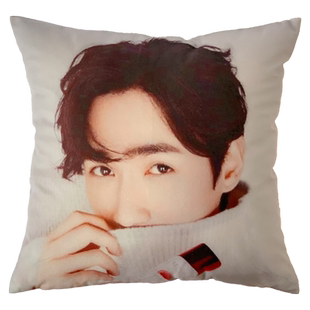 朱一龙周边抱枕来图定制定做照片镇魂同款创意DIY个性学生日礼物