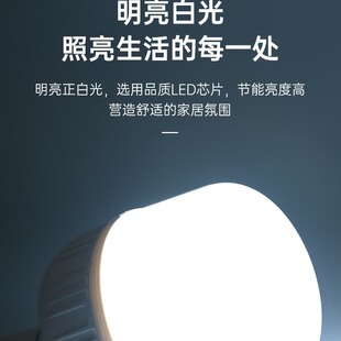 LED灯泡球泡灯螺口专用白光黄光暖光球泡节能家用大功率中山球形