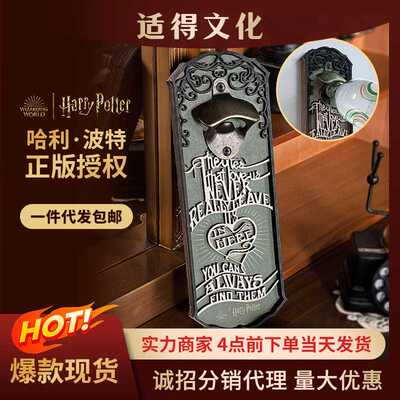 ME正版授权哈利波特小天狼星寄语冰箱贴立体造型磁吸木质开瓶器