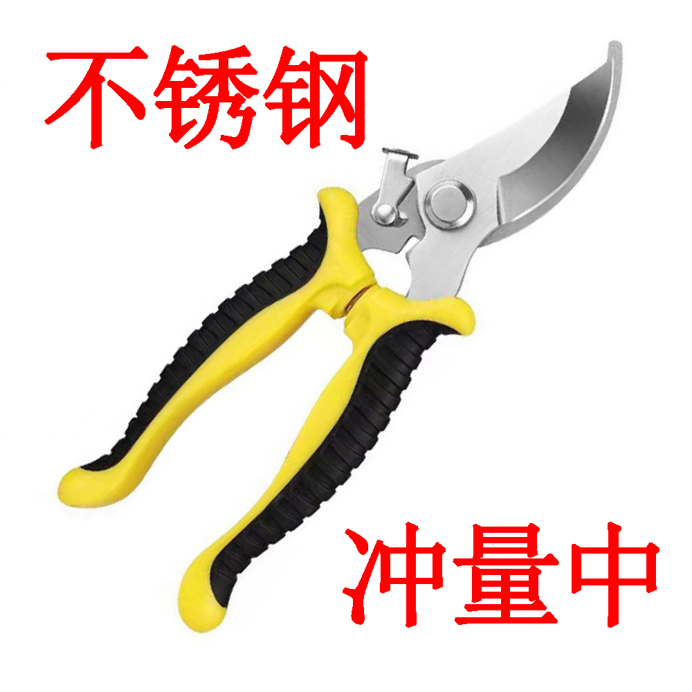 剪枝剪刀果树德国家用强力园林