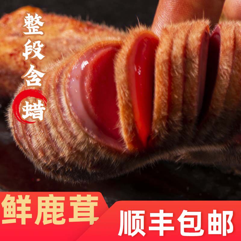 鲜鹿茸茸头整枝含蜡片100克新鲜带血整只正品血片礼盒泡酒用整根