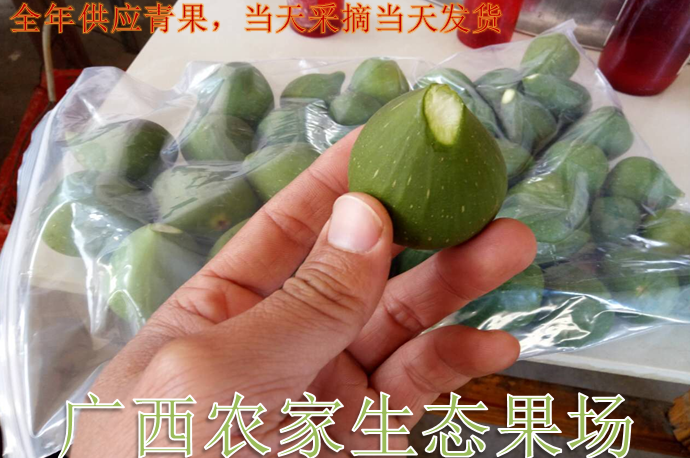 全年供应新鲜无花果白汁原浆扁平尤瘊猴子现摘现发2ml试用装包邮热销0件手慢无